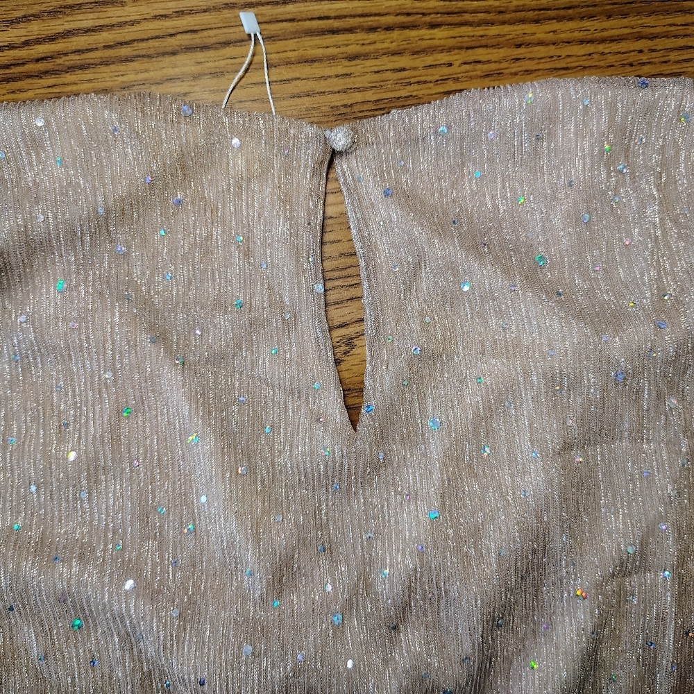 Baltic Born Shimmering Champagne Maxi Dress Size L - Picture 13 of 16